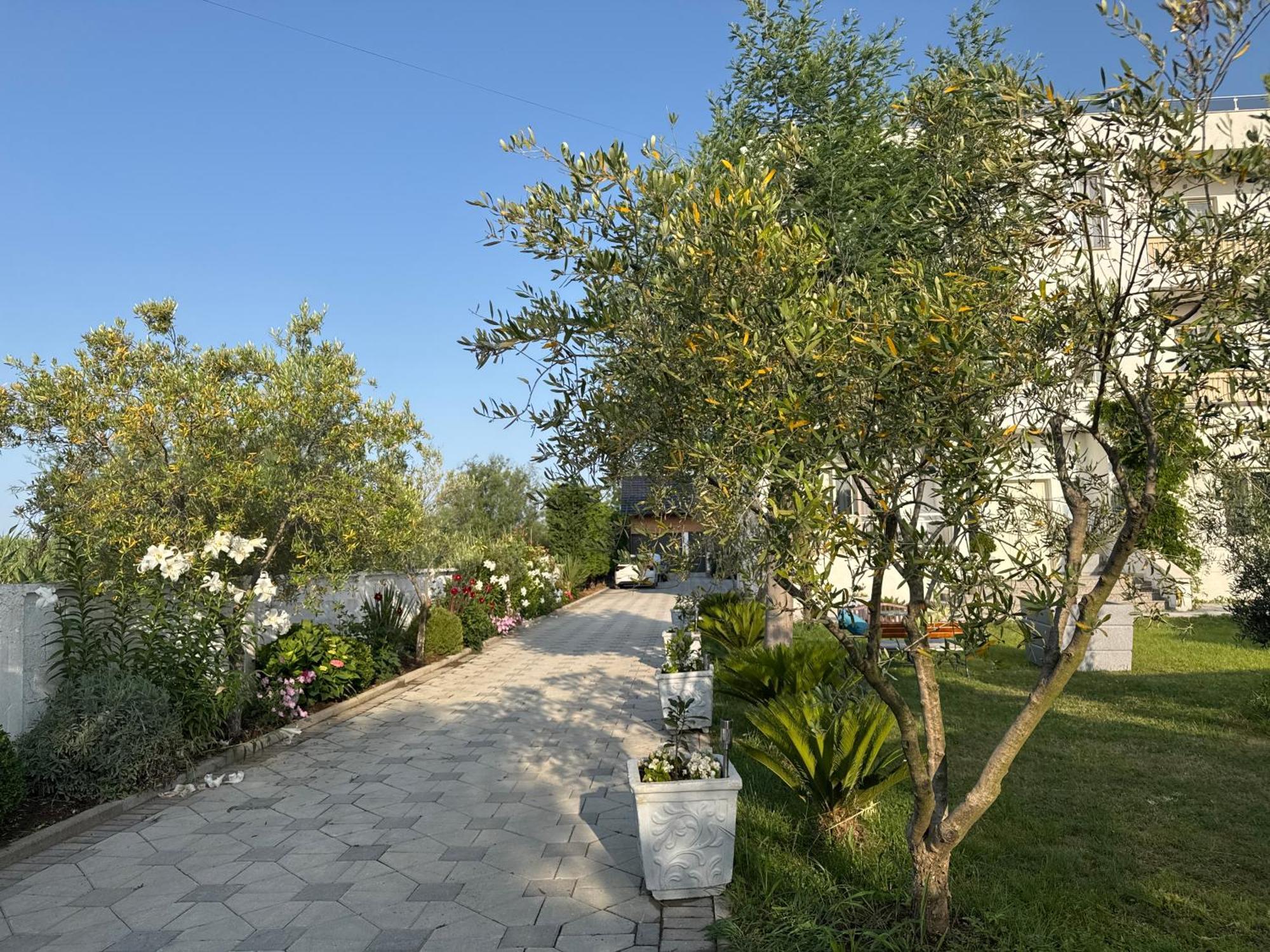 Kunevain Guest House Lezhe Exterior photo